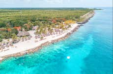 Excursion à Cozumel