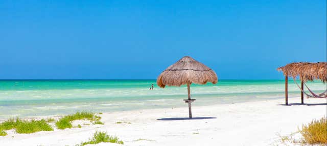 Excursión a la isla Holbox