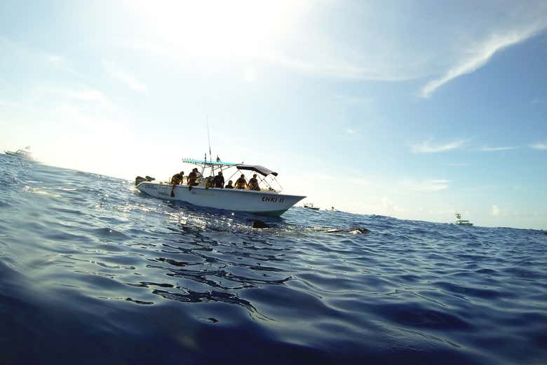 Durante la navigazione