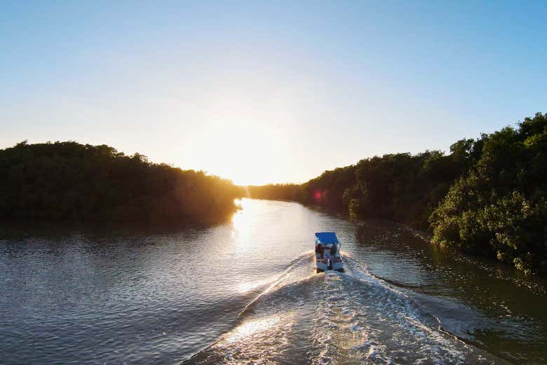 Navegando por el río Lagartos