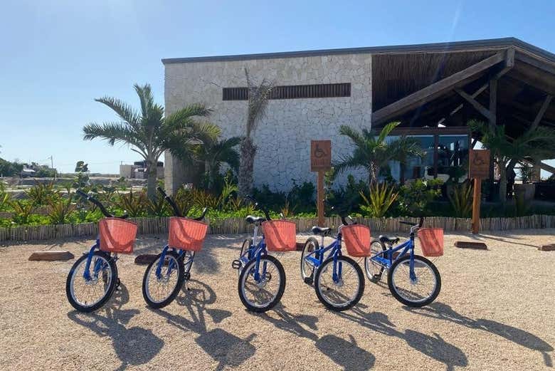Bicicletas con las que recorreremos Las Coloradas