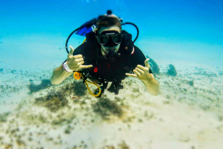 Explorando el fondo marino