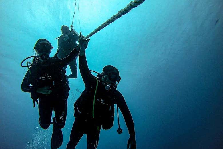 Explorando as profundidades marinhas de Playa del Carmen