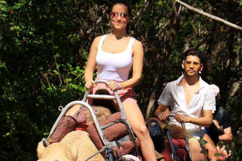 Camel ride in Playa del Carmen