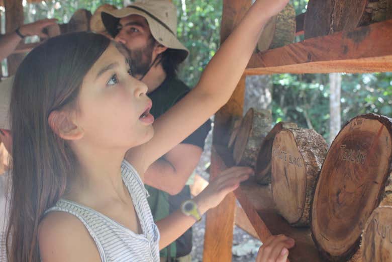 En la casa maya del parque    
