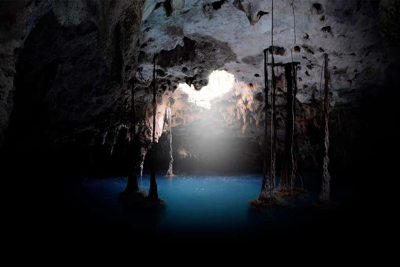 En la gruta de un cenote      