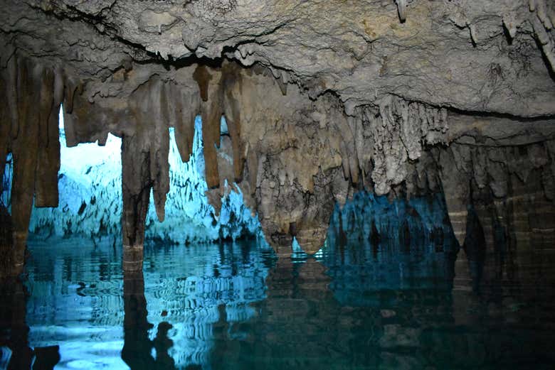 Dentro del cenote