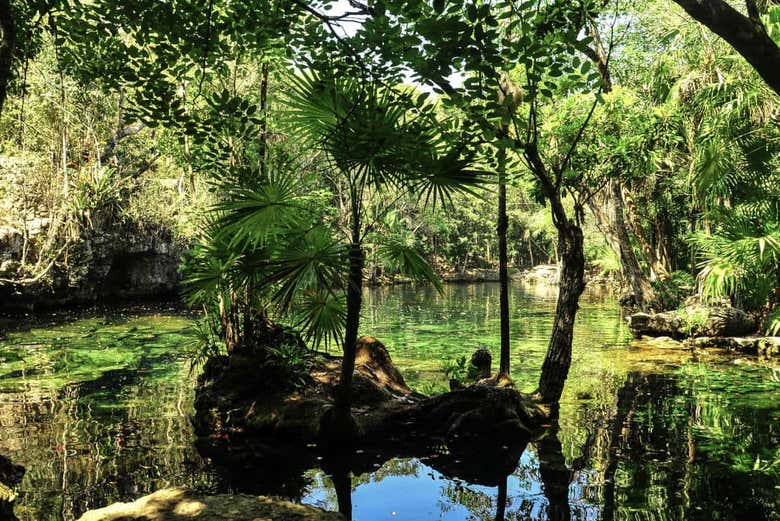 Cenotes de Chikin Ha