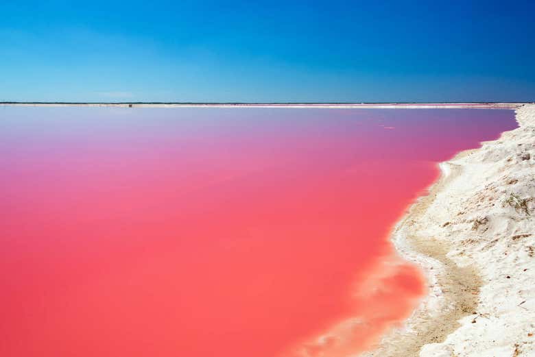 Laguna di Las Coloradas