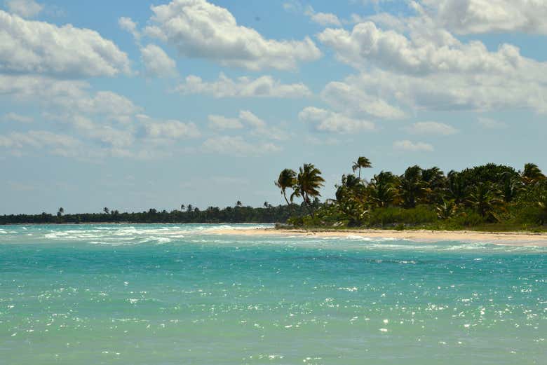 Spot the beaches of Punta Allen