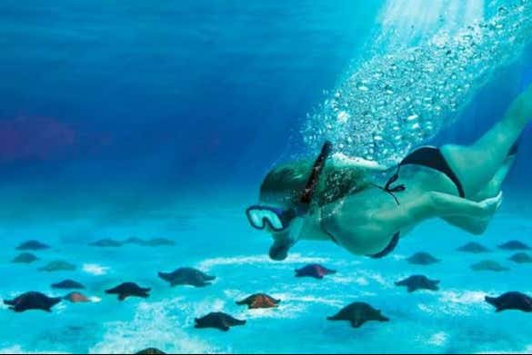 Explorando el fondo marino de Cozumel