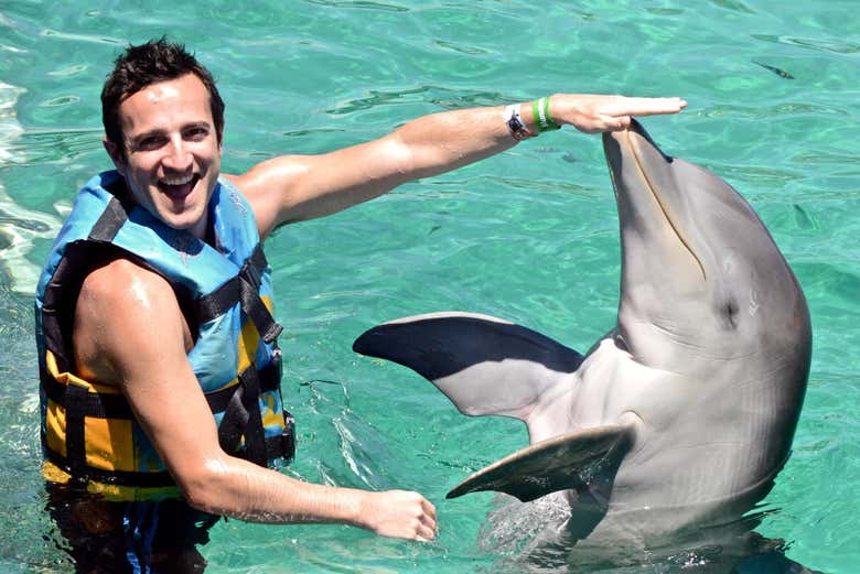 Jugando con el delfín