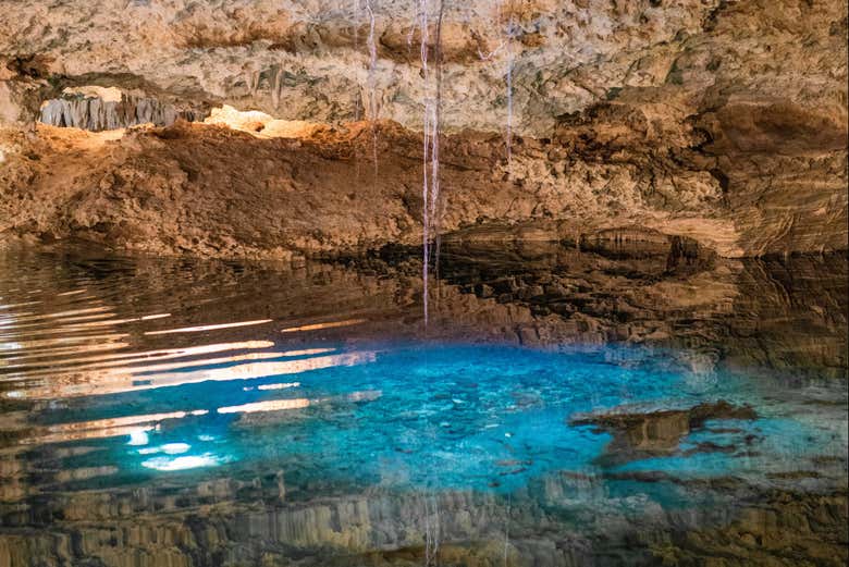 Dentro del cenote