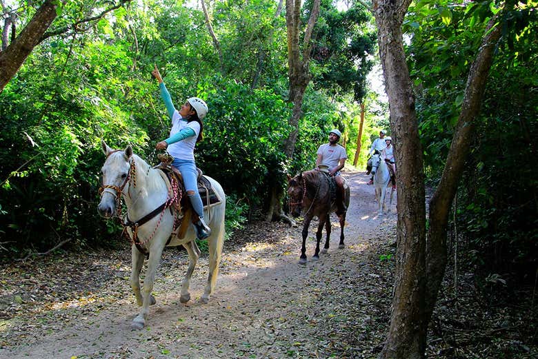 Descubriendo la flora del rancho