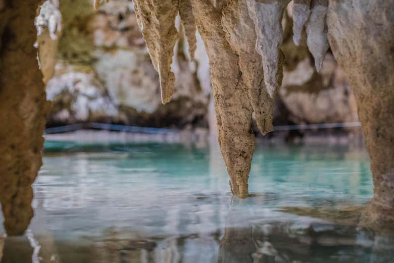 Detalle de un cenote maya