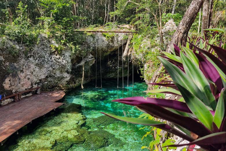 Accediendo a un cenote