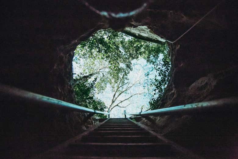 El interior del cenote