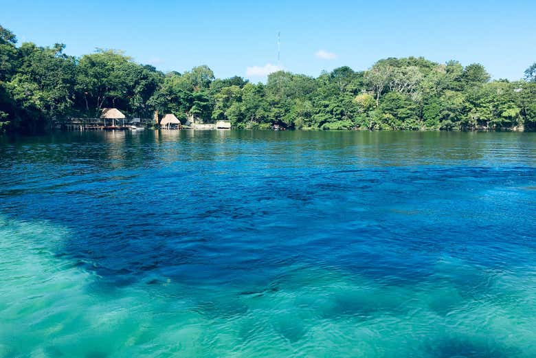 Cenote negro
