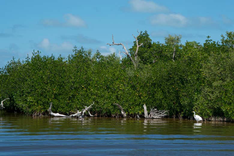 Recorreremos una zona de gran biodiversidad