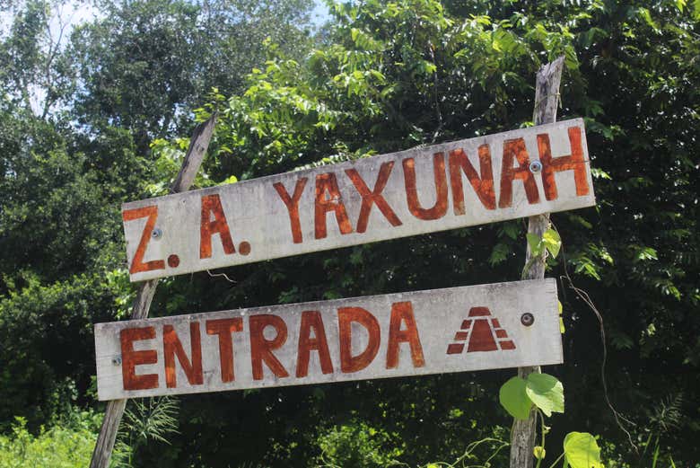 Zona arqueológica de Yaxunah