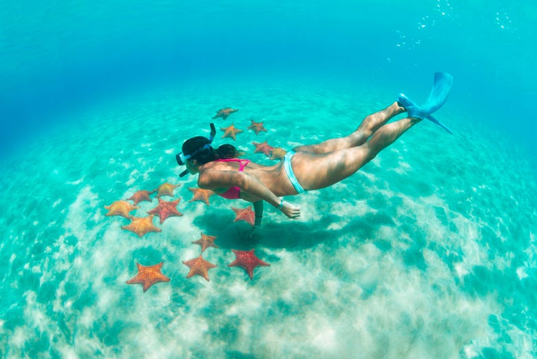Go snorkeling in the pristine waters