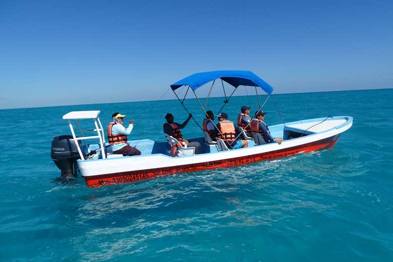 Enjoy a fun boat trip around Punta Allen