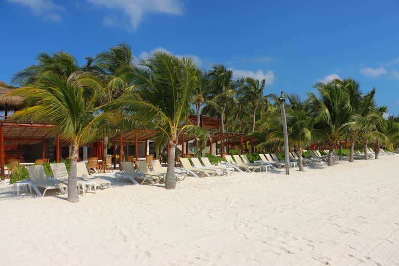 Welcome to paradise!