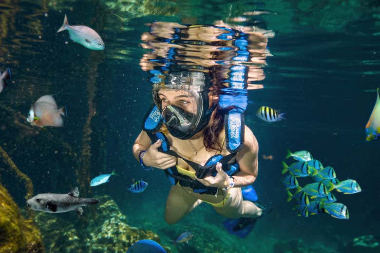 Snorkel en el parque Xel-Há