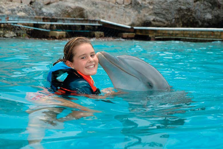 Nadando con los delfines