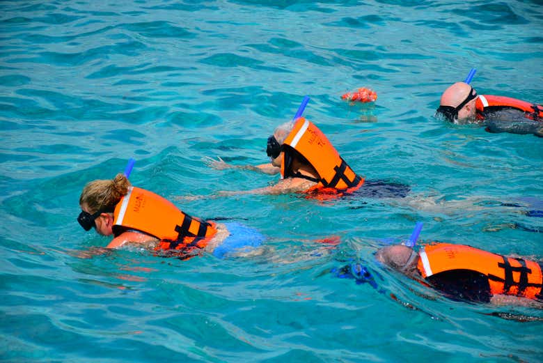 Haciendo snorkel en las aguas de Playa del Carmen