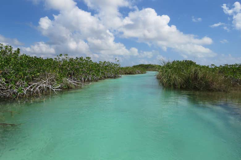 Enjoy the breathtaking scenery!