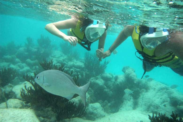 Una pareja haciendo snorkel y contemplando un pez