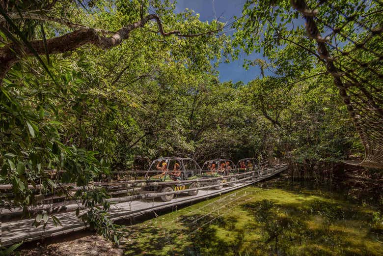 Recorrido por la selva en buggy