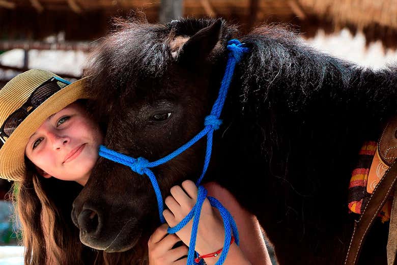 Equinos del Rancho Bonanza