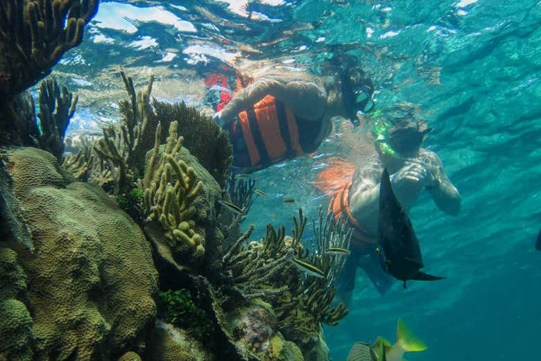 Practicando snorkel