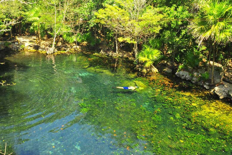 Snorkel em Chikin Ha