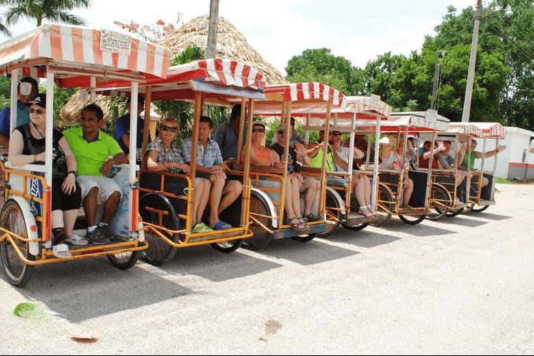 Recorreremos la localidad en un tren