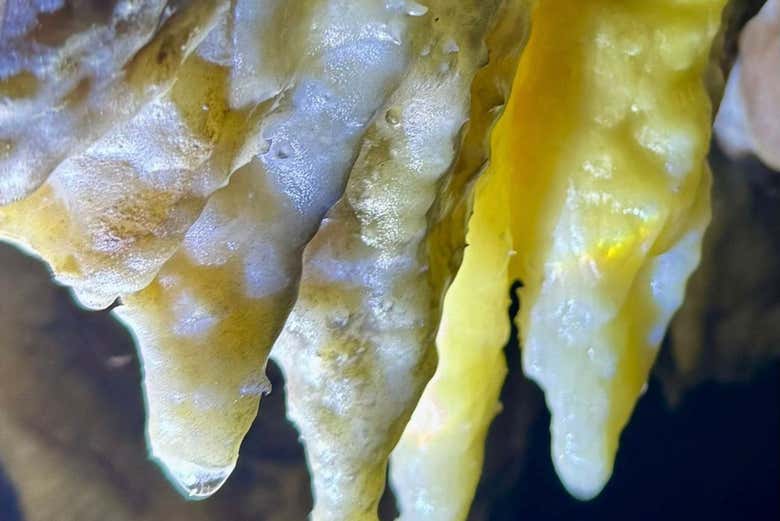 Estalactitas del cenote