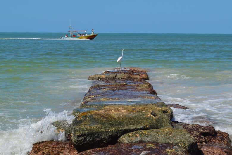Vistas al mar en Holbox
