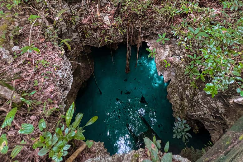 Vistas del cenote desde el exterior