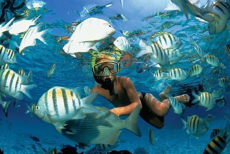 Faites du snorkeling à Xel-Há