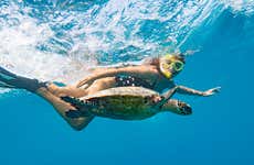 Nage avec des tortues dans la baie d'Akumal