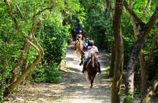 Passeio a cavalo pelo Rancho Bonanza