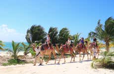 Passeio de camelo pela Riviera Maya