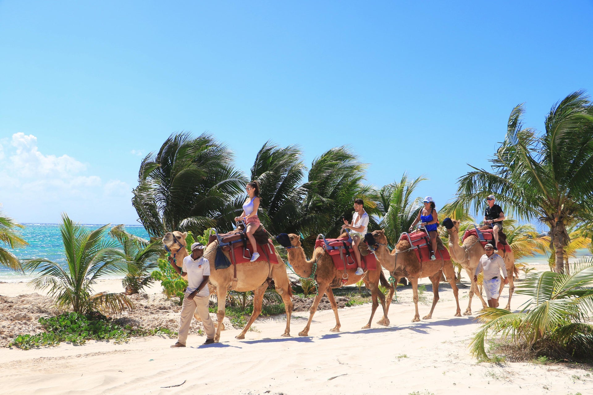 Passeio de camelo pela Riviera Maya