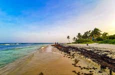 Snorkel y tour en moto de agua por Playa del Carmen