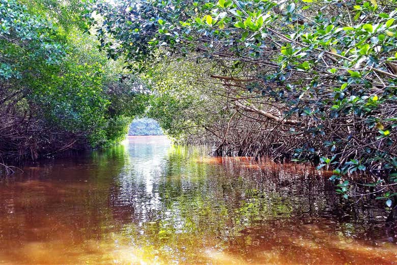 Visit the Ría Celestun Biosphere Reserve