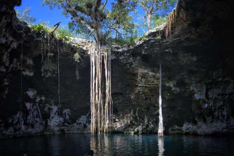 Você poderá nadar nos cenotes