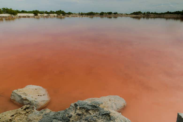 Visit the Laguna Rosada, known for its pink hues