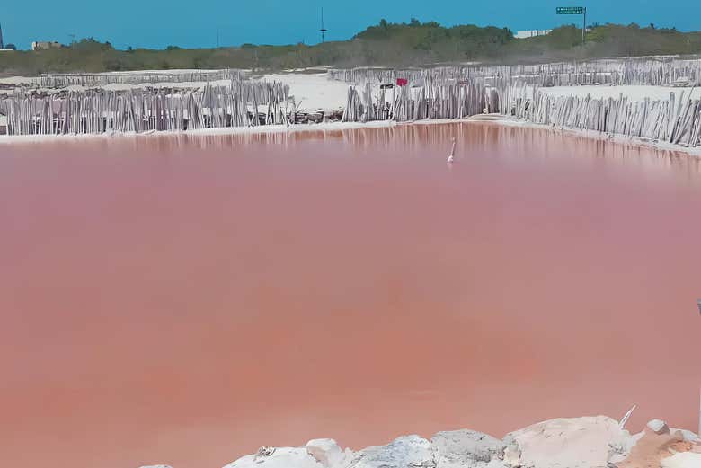 Você está pronto para combinar natureza e relaxamento?